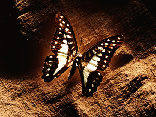 392984 (a): :1024x768
